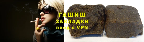 гидра Богородицк