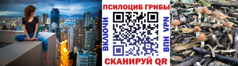 цены наркотик  MEGA ссылка  Галлюциногенные грибы Psilocybine cubensis  Волосово 
